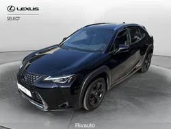 Nero Usata 2020 Lexus UX Executive Line SUV | 21.900 € (Super prezzo)