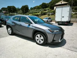 Grigio Usata 2022 Lexus UX Business Edition SUV | 23.900 € (Buon prezzo)