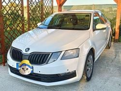 Usata 2017 Skoda Octavia Ambition Tre volumi | 9750 € (Cara)