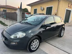 Usata 2015 Fiat Punto Street Due volumi | 4500 € (Ottimo prezzo)