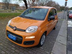 Arancione Usata 2020 Fiat Panda Lounge Due volumi | 8900 € (Ottimo prezzo)