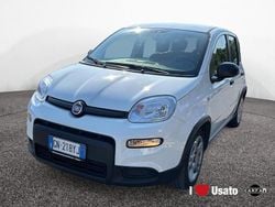 Bianco Usata 2023 Fiat Panda Due volumi | 11.900 € (Buon prezzo)