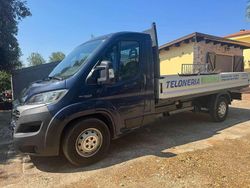 Blu/azzurro Usata 2020 Fiat Ducato Furgone | 16.000 € (Ottimo prezzo)