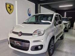 Bianco Usata 2019 Fiat Panda 4x4 S Due volumi | 11.500 € (Ottimo prezzo)