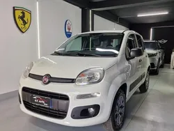 Bianco Usata 2019 Fiat Panda 4x4 S Due volumi | 11.500 € (Buon prezzo)