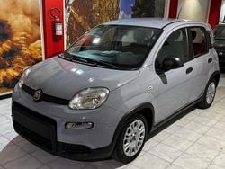 Grigio Usata 2023 Fiat Panda S Tre volumi | 12.700 € (Buon prezzo)
