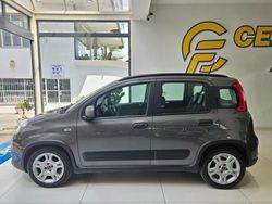 Grigio Usata 2022 Fiat Panda City Life Due volumi | 12.900 € (Cara)