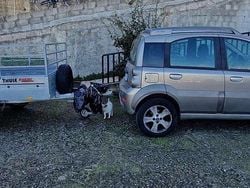 Usata 2009 Fiat Panda 4x4 Cross Due volumi | 6000 € (Buon prezzo)