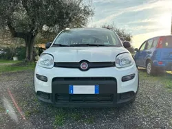 Bianco Usata 2023 Fiat Panda City Life Due volumi | 8950 € (Super prezzo)