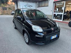 Nero Usata 2023 Fiat Panda Tre volumi | 12.500 € (Buon prezzo)