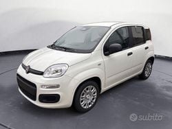 Bianco Nuova 2025 Fiat Panda Icon Due volumi | 13.900 €