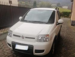 Bianco Usata 2011 Fiat Panda 4x4 Due volumi | 8000 €