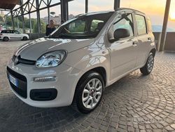 Usata 2014 Fiat Panda Due volumi | 4500 € (Ottimo prezzo)