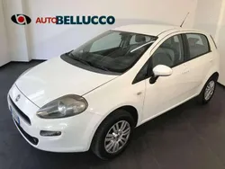Bianco Usata 2012 Fiat Punto Easy Due volumi | 3000 € (Ottimo prezzo)