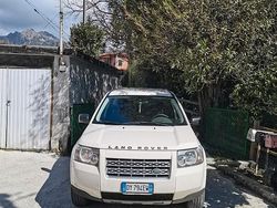 Bianco Usata 2009 Land Rover Freelander 2 SUV | 5500 €