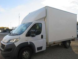 Bianco Usata 2015 Fiat Ducato Furgone | 11.500 € (Cara)