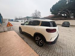 Bianco Usata 2023 Citroën C5 Monovolume | 25.000 € (Molto cara)