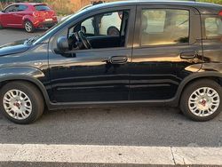 Nero Usata 2023 Fiat Panda Due volumi | 11.600 € (Buon prezzo)