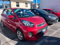 Rosso Usata 2016 Kia Picanto City Due volumi | 7900 € (Buon prezzo)