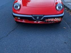 Usata 1984 Alfa Romeo Spider Cabrio | 17.000 €