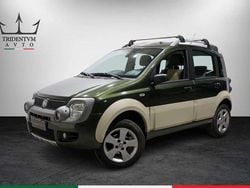 Verde Usata 2009 Fiat Panda Cross Cross Due volumi | 6500 € (Ottimo prezzo)