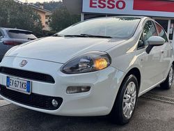 Bianco Usata 2014 Fiat Punto Lounge Tre volumi | 3300 € (Buon prezzo)