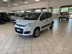 Bianco Usata 2019 Fiat Panda 4x4 Lounge Due volumi | 8500 € (Super prezzo)