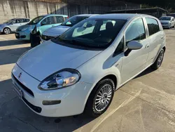 Bianco Usata 2015 Fiat Punto Due volumi | 4500 € (Buon prezzo)