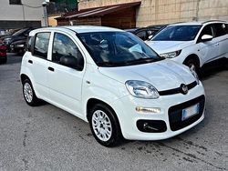 Bianco Usata 2016 Fiat Panda Due volumi | 9500 € (Buon prezzo)
