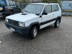 Usata 1991 Fiat Panda 4x4 Due volumi | 5000 €