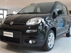 Nero Usata 2023 Fiat Panda S Due volumi | 15.700 € (Molto cara)