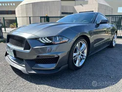 Grigio Usata 2021 Ford Mustang Fastback Coupé | 35.000 € (Buon prezzo)