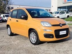 Marrone Usata 2020 Fiat Panda Easy Due volumi | 10.500 € (Buon prezzo)