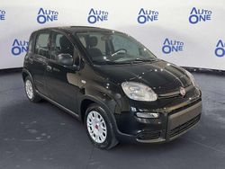 Nero Usata 2023 Fiat Panda Tre volumi | 9800 € (Ottimo prezzo)