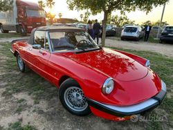 Rosso Usata 1986 Alfa Romeo Spider Cabrio | 31.000 €