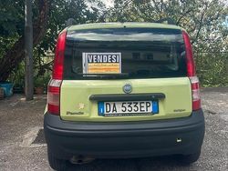 Verde Usata 2006 Fiat Panda Due volumi | 1900 € (Ottimo prezzo)