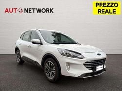 Bianco Usata 2020 Ford Kuga Titanium SUV | 16.500 € (Ottimo prezzo)