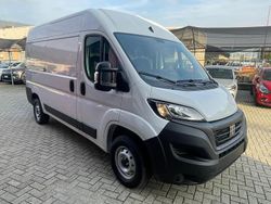 Bianco Nuova 2025 Fiat Ducato Furgone | 26.990 € (Buon prezzo)