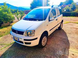 Bianco Usata 2006 Fiat Panda 4x4 Due volumi | 4200 € (Buon prezzo)