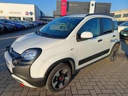 Bianco Usata 2024 Fiat Panda Cross Cross Due volumi | 13.900 € (Buon prezzo)