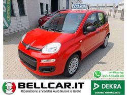 Rosso Usata 2018 Fiat Panda Easy Due volumi | 10.900 € (Cara)