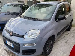 Grigio Usata 2020 Fiat Panda Launch Edition Due volumi | 9490 € (Buon prezzo)