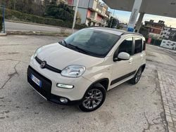 Beige Usata 2018 Fiat Panda 4x4 S Due volumi | 9899 € (Buon prezzo)