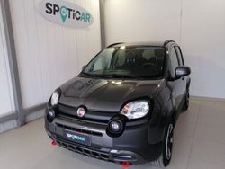 Grigio Usata 2023 Fiat Panda Cross Cross Due volumi | 14.800 € (Cara)