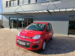Rosso Nuova 2025 Fiat Panda S Tre volumi | 13.500 €