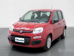 Rosso Nuova 2025 Fiat Panda Icon Tre volumi | 13.835 €