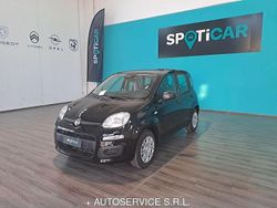 Nero Nuova 2025 Fiat Panda S Due volumi | 12.500 €