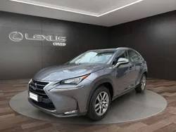 Grigio scuro Usata 2016 Lexus NX300h Executive Line SUV | 17.900 € (Super prezzo)