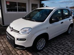 Bianco Usata 2024 Fiat Panda S Tre volumi | 12.500 € (Buon prezzo)