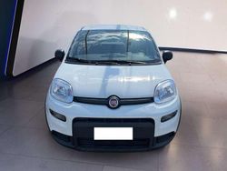 Bianco Usata 2024 Fiat Panda Due volumi | 11.500 € (Buon prezzo)